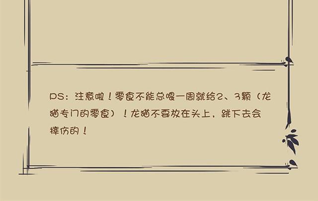 第4话 口袋龙猫25