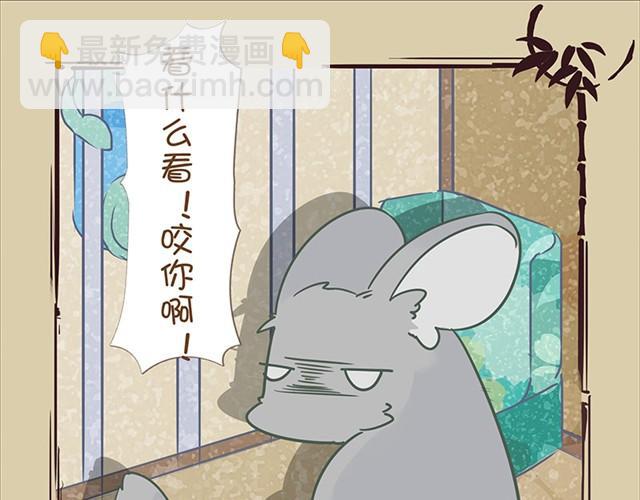 第4话 口袋龙猫22