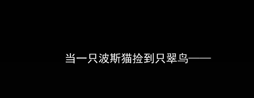 预告0