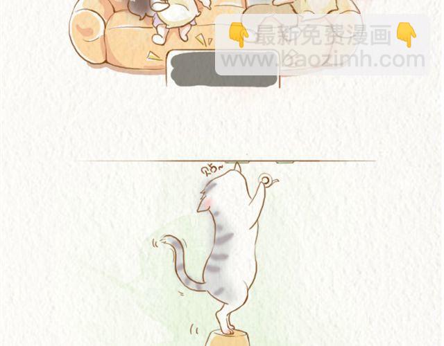 跟着我有肉吃1