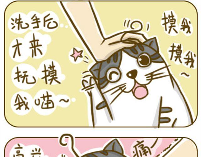 别碰我的呆毛9