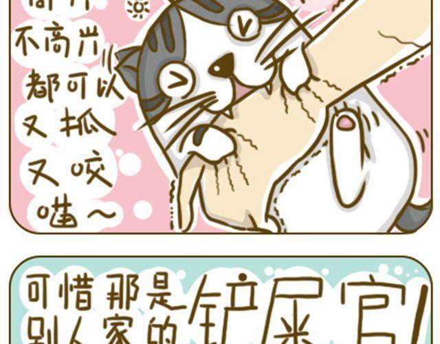 别碰我的呆毛10