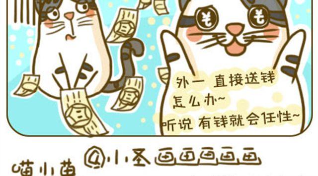 铲屎君觉得你冷11