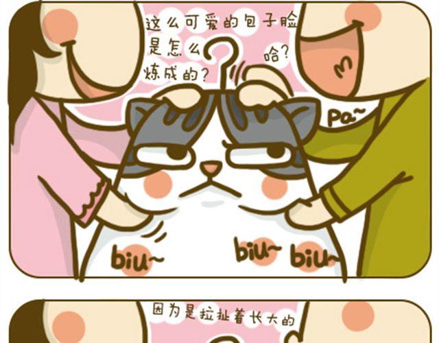 铲屎君觉得你冷13