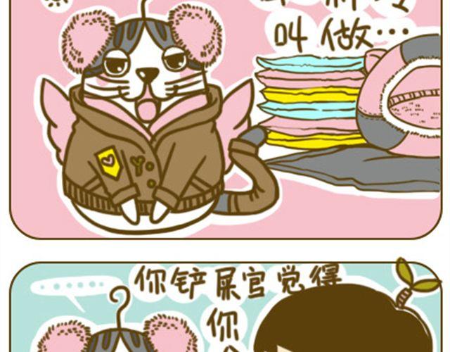 铲屎君觉得你冷6
