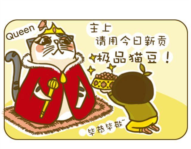 喵主子的赏赐8