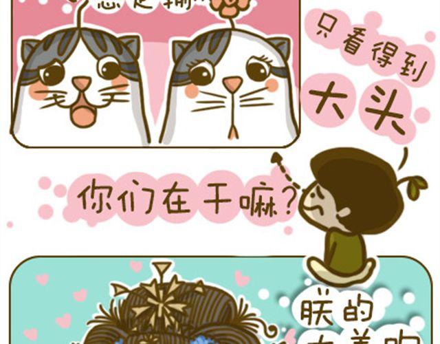 喵生大事2