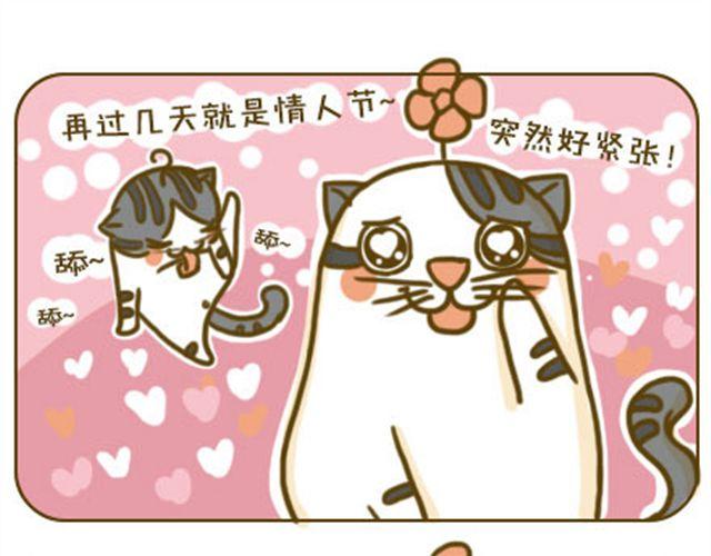 铲屎君觉得你冷8