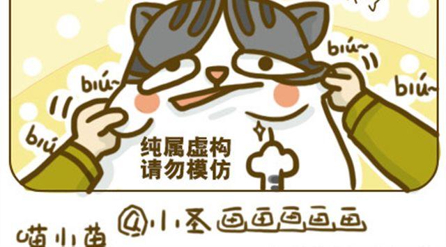 铲屎君觉得你冷15