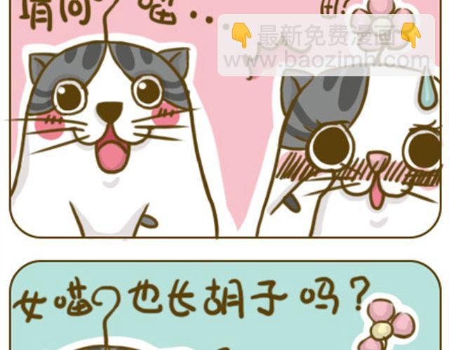 铲屎君觉得你冷2