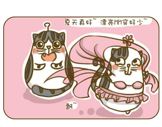 别碰我的呆毛4