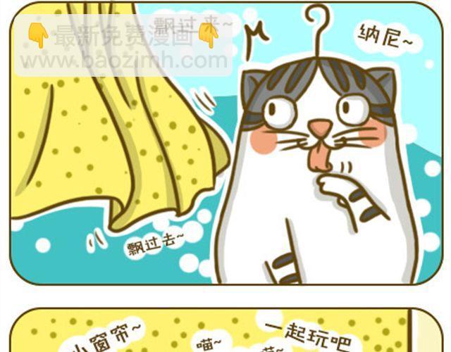 喵生大事5