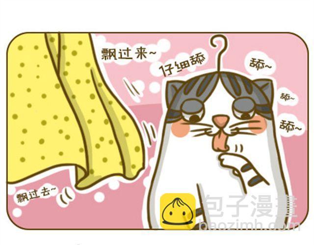 喵生大事4
