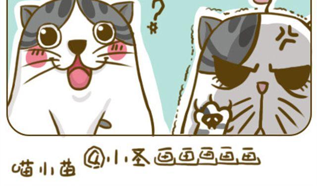 铲屎君觉得你冷3