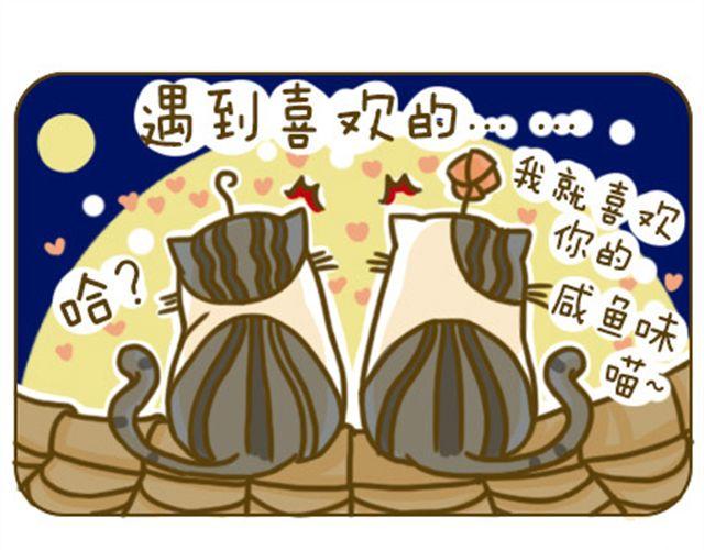 别碰我的呆毛0