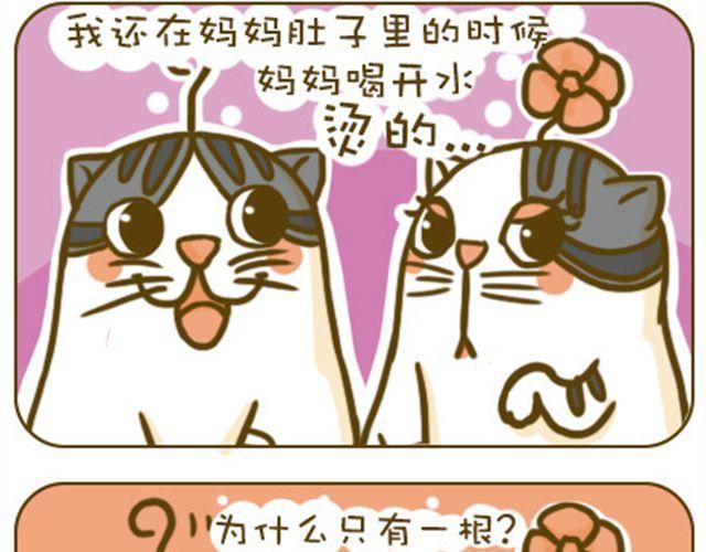 静静5