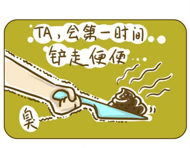 别碰我的呆毛8
