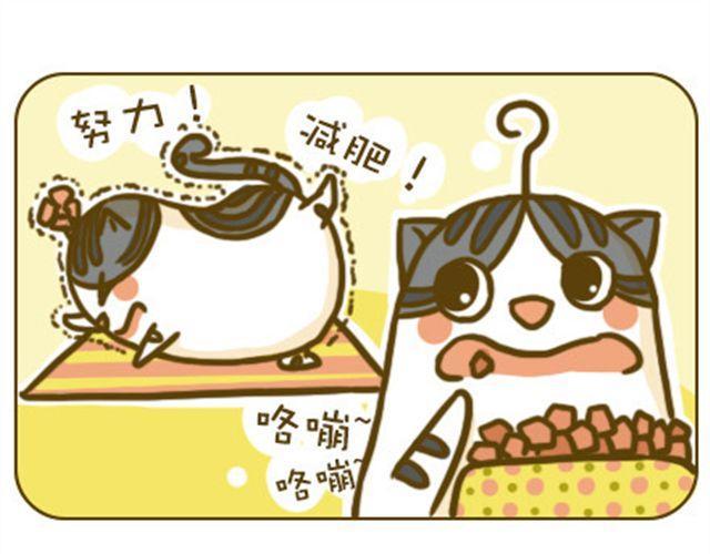 不好瘦0