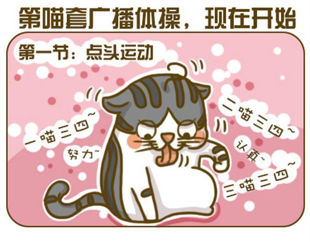 喵生大事8
