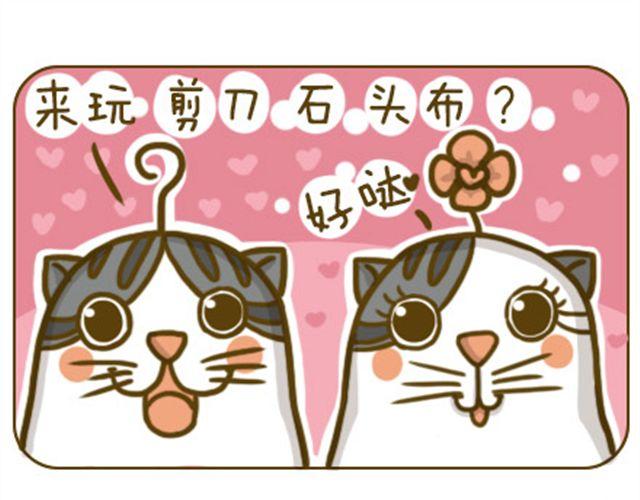 喵生大事0