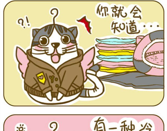 铲屎君觉得你冷5