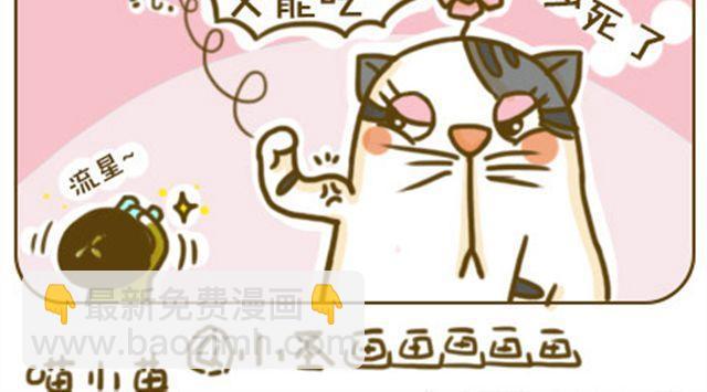 给点隐私15