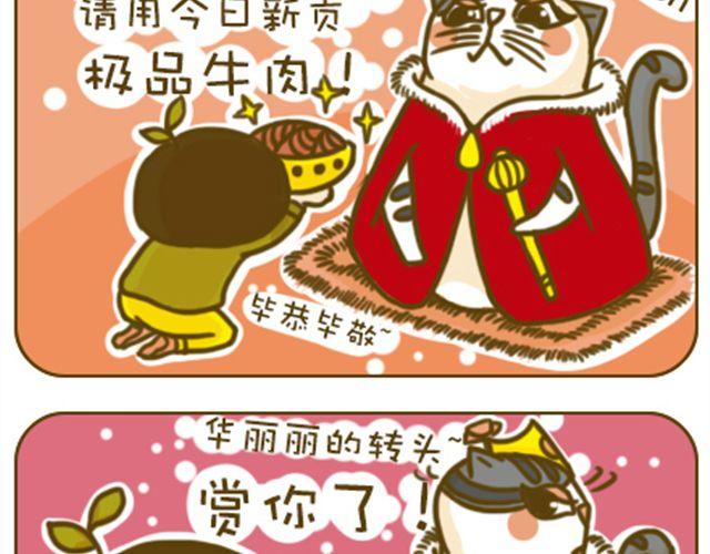 喵主子的赏赐10