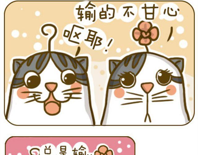 喵生大事1