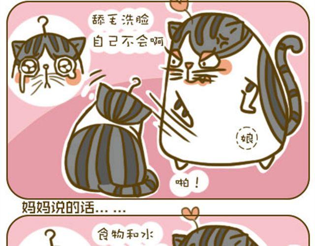 莫骗我5