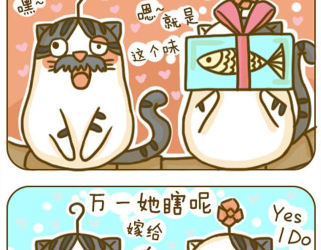 别碰我的呆毛2