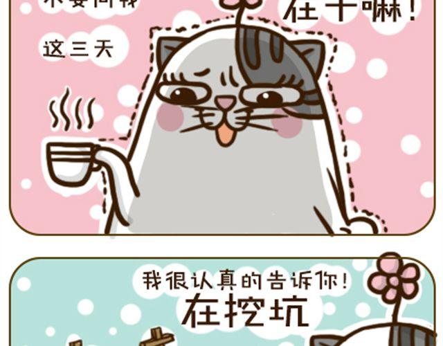 莫骗我14