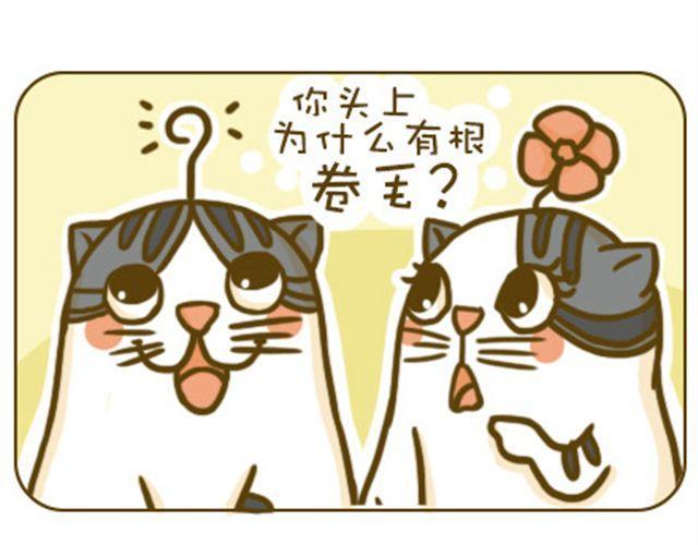 静静4