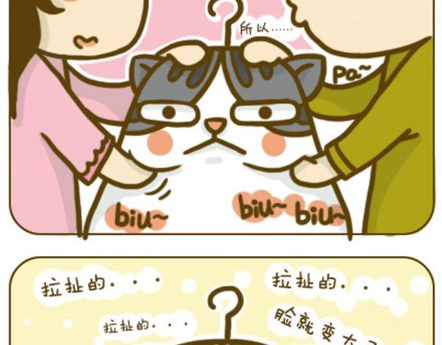 铲屎君觉得你冷14