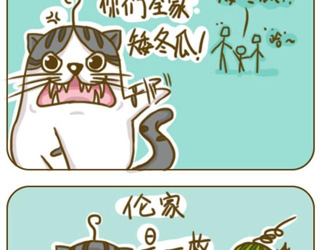喵主子的赏赐6