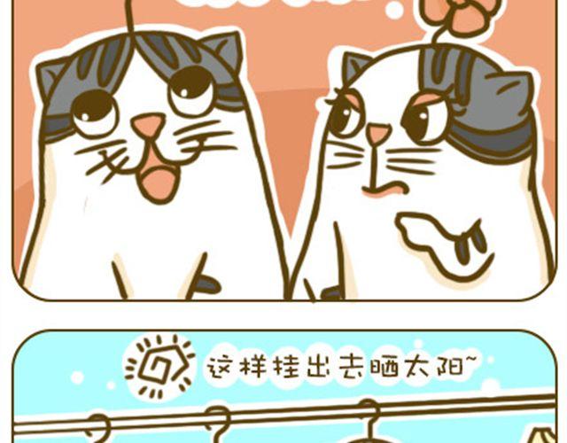 静静6