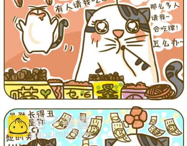 铲屎君觉得你冷10