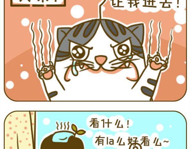 给点隐私6