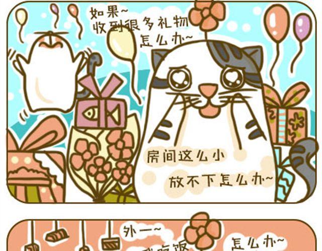 铲屎君觉得你冷9