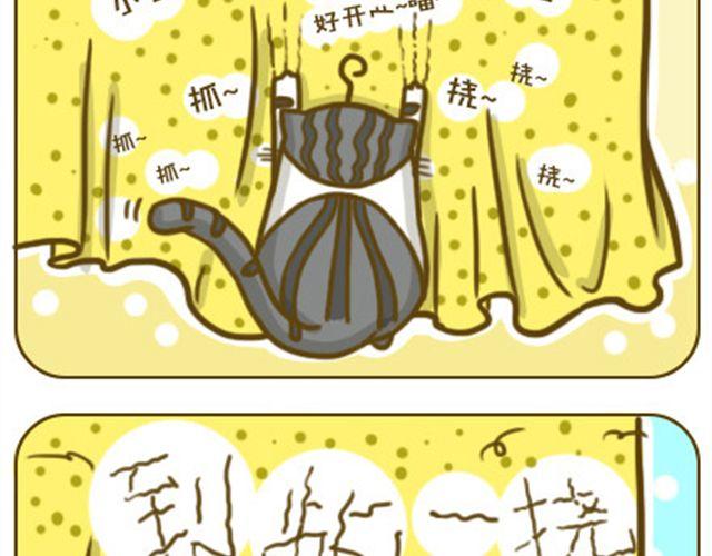 喵生大事6