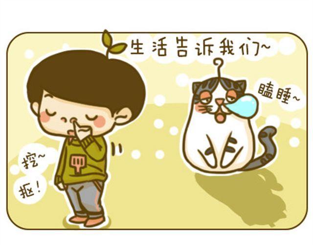 喵主子的赏赐0