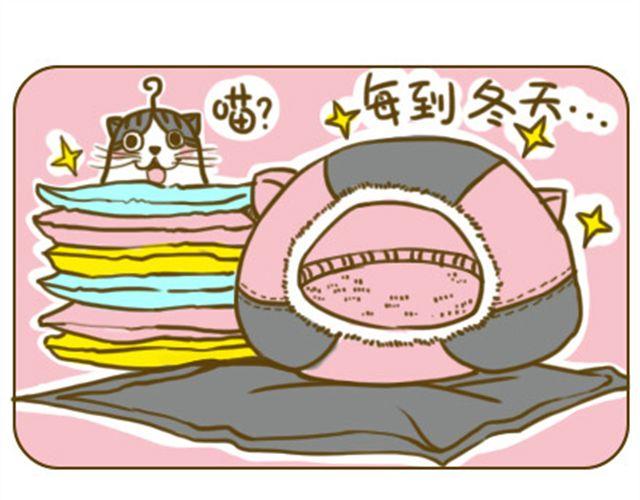 铲屎君觉得你冷4