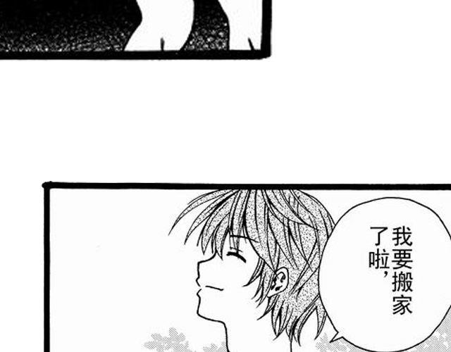画心237