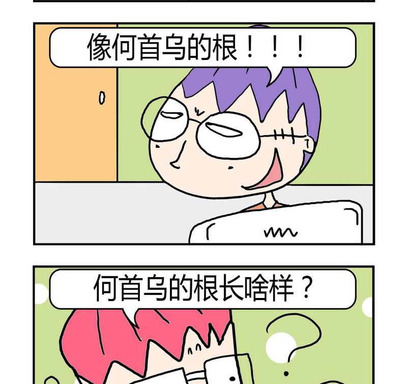 10 10长像1