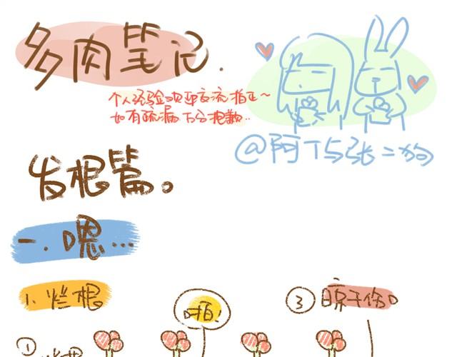 第2话 发根篇0