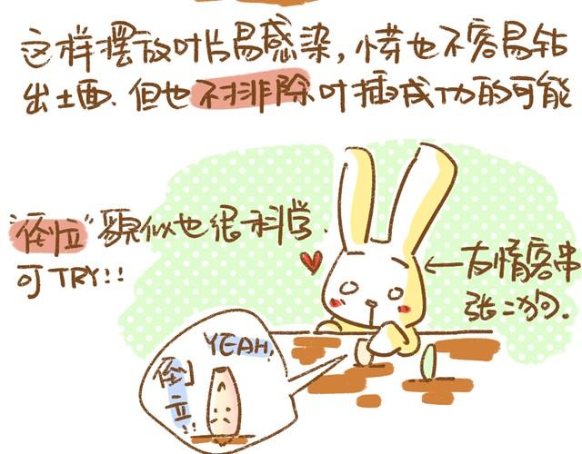 第4话 插叶篇（二）2