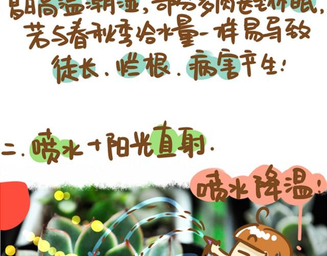 第1话 这么养多肉会死的！17