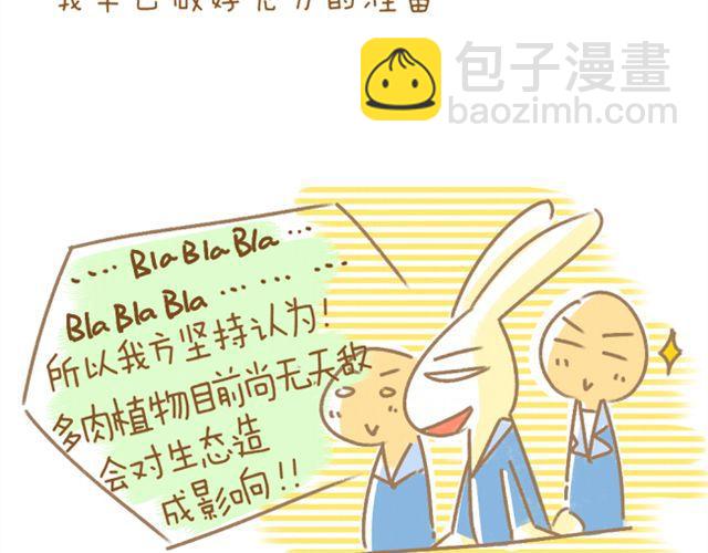 番外 辩论赛3
