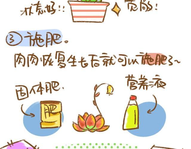 第5话 春季植物养护篇4