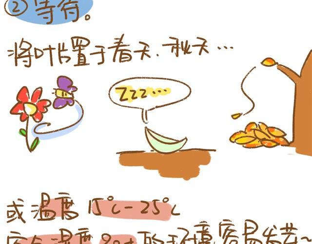 第4话 插叶篇（二）5