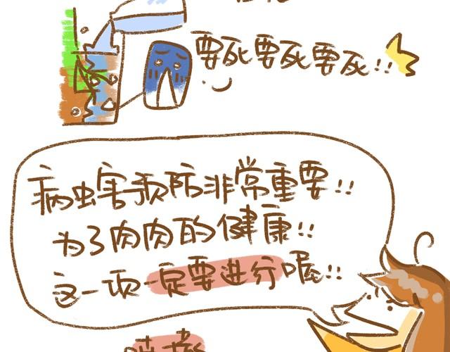第5话 春季植物养护篇6